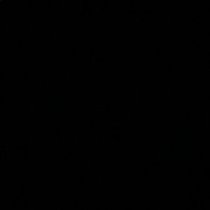 Meet your Posher, Cortney